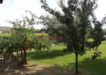 Agriturismo Manciano - foto 14