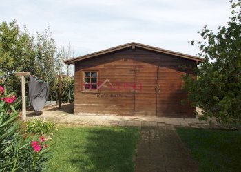 Agriturismo Manciano - foto 15