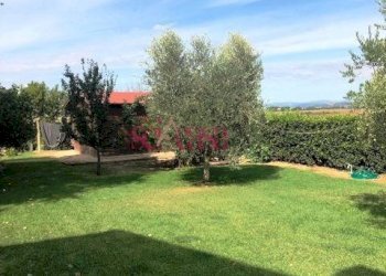 Agriturismo Manciano - foto 25