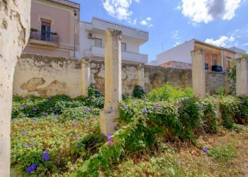 giardino - Stable - Palace via Roma, Matino - photo 13