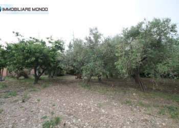 Rustico Contrada Buccaro, Portocannone - foto 26