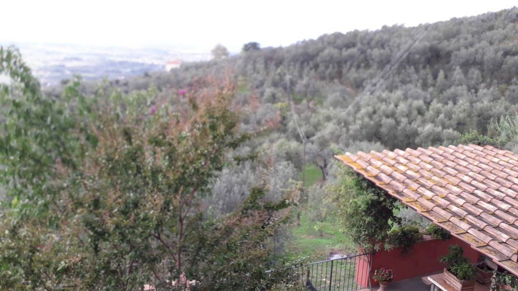 esterno - Independent house via di Anchiano, Vinci - photo 1