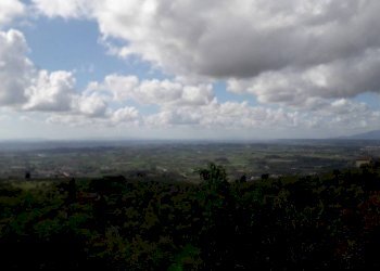 esterno - Independent house via di Anchiano, Vinci - photo 16