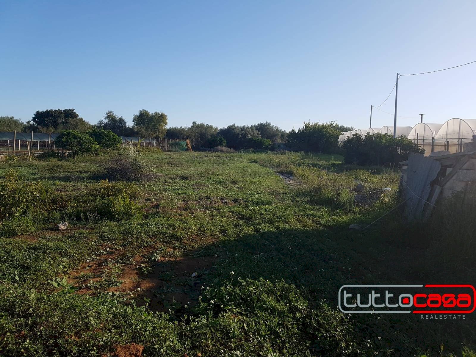 Agricultural land C.DA GERRANTINI, Scicli - photo 2