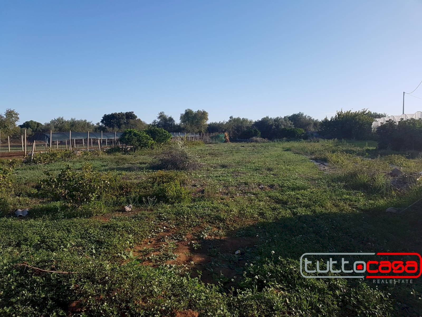 Agricultural land C.DA GERRANTINI, Scicli - photo 3