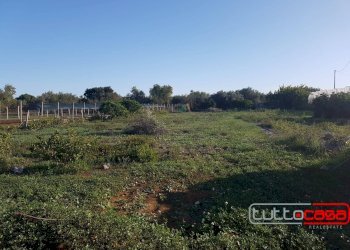 Agricultural land C.DA GERRANTINI, Scicli - photo 3