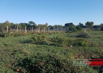 Agricultural land C.DA GERRANTINI, Scicli - photo 5