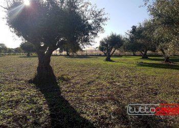 Agricultural land C.DA GERRANTINI, Scicli - photo 6