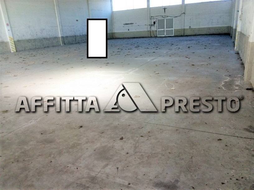 Shed Via Bologna, Collesalvetti - photo 3