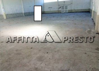 Capannone Via Bologna, Collesalvetti - foto 3