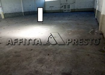 Capannone Via Bologna, Collesalvetti - foto 4