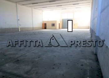 Capannone Via Bologna, Collesalvetti - foto 5