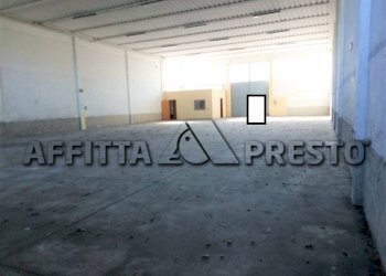 Capannone Via Bologna, Collesalvetti - foto 6