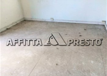 Capannone Via Bologna, Collesalvetti - foto 8