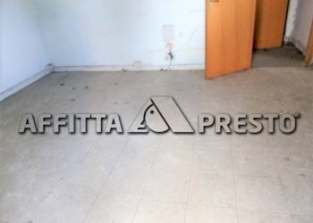 Capannone Via Bologna, Collesalvetti - foto 9