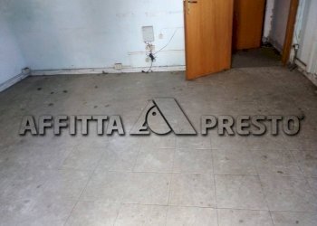 Capannone Via Bologna, Collesalvetti - foto 11