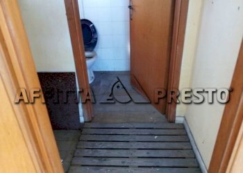 Capannone Via Bologna, Collesalvetti - foto 12