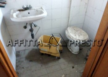 Capannone Via Bologna, Collesalvetti - foto 13