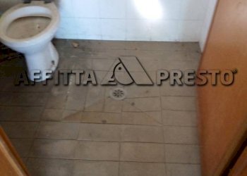 Capannone Via Bologna, Collesalvetti - foto 14