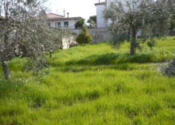 Terreno edificabile Zona basciani, Alba Adriatica - foto 2