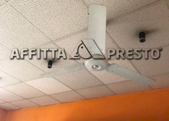 Commercial Activity Via Enrico Delle Sedie, Livorno - photo 5