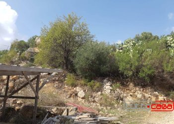 Terreno edificabile C.DA GURGAZZI, Scicli - foto 6