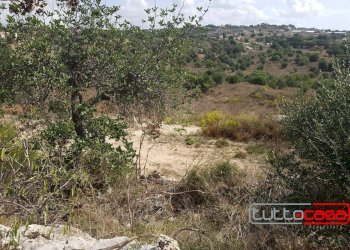 Terreno edificabile C.DA GURGAZZI, Scicli - foto 17