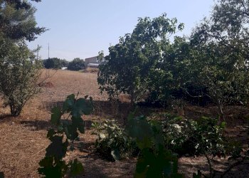 Casa indipendente C.DA SANTA ROSALIA, Scicli - foto 5