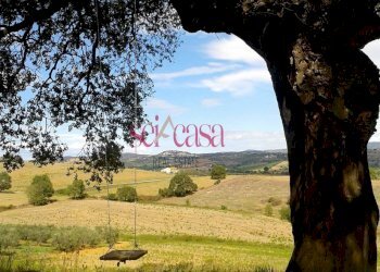 Terreno agricolo Magliano in Toscana - foto 1