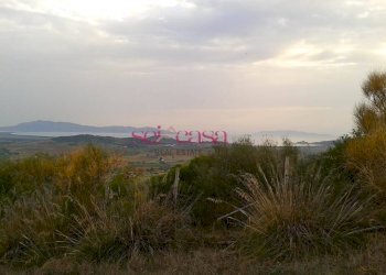 Terreno agricolo Magliano in Toscana - foto 4