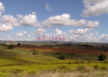 Terreno agricolo Magliano in Toscana - foto 5
