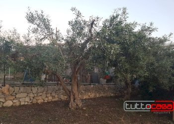 Casa indipendente BACONE, Scicli - foto 19