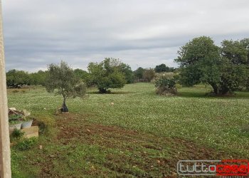Casa indipendente C.DA SANTA ROSALIA, Scicli - foto 16