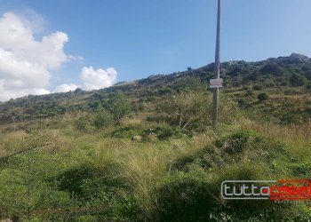 Agricultural land C.DA ZAGARONE, Scicli - photo 2