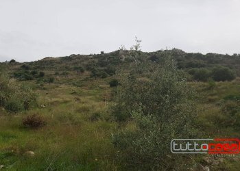 Agricultural land C.DA ZAGARONE, Scicli - photo 5