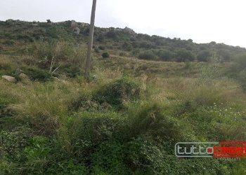 Agricultural land C.DA ZAGARONE, Scicli - photo 6