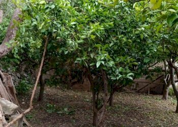 Agriturismo C.DA FIUMELATO, Scicli - foto 9