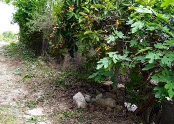 Agriturismo C.DA FIUMELATO, Scicli - foto 11