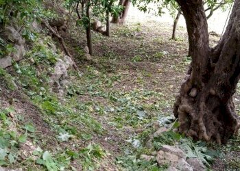 Agriturismo C.DA FIUMELATO, Scicli - foto 14