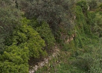 Agriturismo C.DA FIUMELATO, Scicli - foto 16