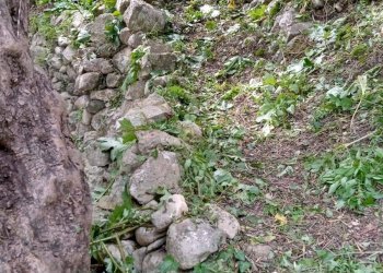 Agriturismo C.DA FIUMELATO, Scicli - foto 17