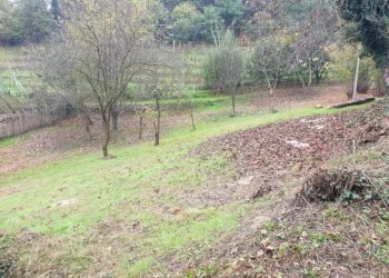 Villa Bra - foto 5