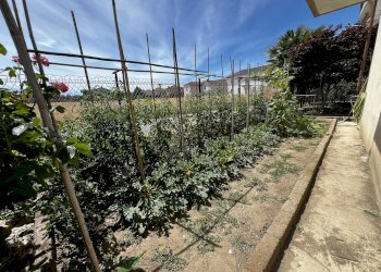 orto - Casa indipendente Via Pignari, 5, Saluzzo - foto 42
