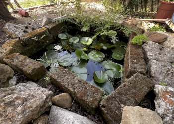 laghetto ninfee - Casa indipendente Via Pignari, 5, Saluzzo - foto 44