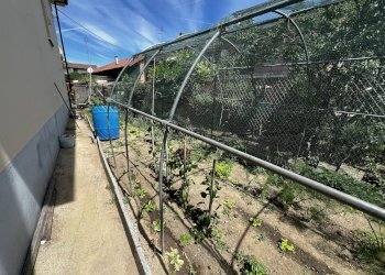 orto - Casa indipendente Via Pignari, 5, Saluzzo - foto 45
