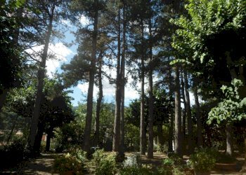 PARCO - Appartamento via Maria Montessori, Castel di Casio - foto 32