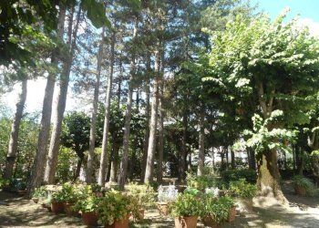 PARCO - Appartamento via Maria Montessori, Castel di Casio - foto 33