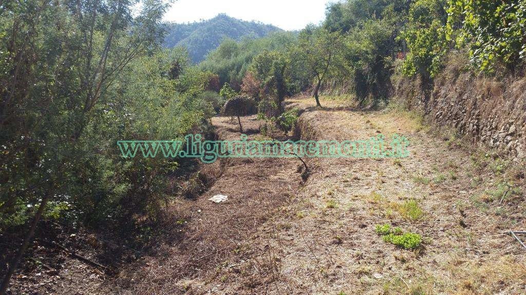 Agricultural land Savona (neighborhood Santuario) - photo 1