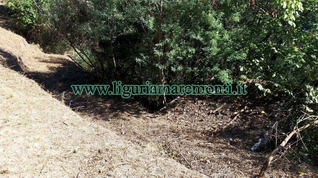 Agricultural land Savona (neighborhood Santuario) - photo 2