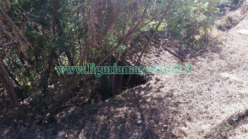 Agricultural land Savona (neighborhood Santuario) - photo 3
